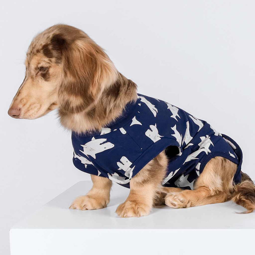 Dachshund in a Cute Shark Recovery Dog Shirt - Fitwarm Dog Clothes