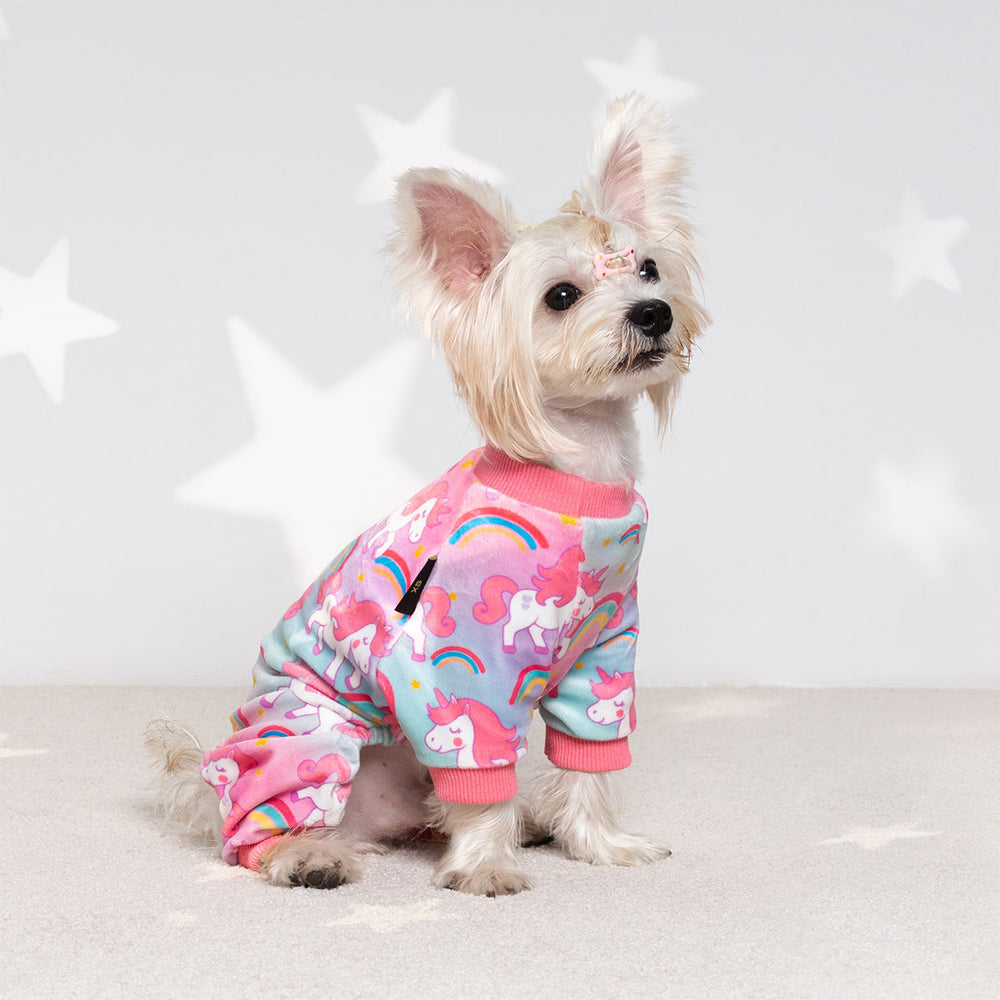 Small dog wearing colorful unicorn dog pajamas with rainbows and pink trim