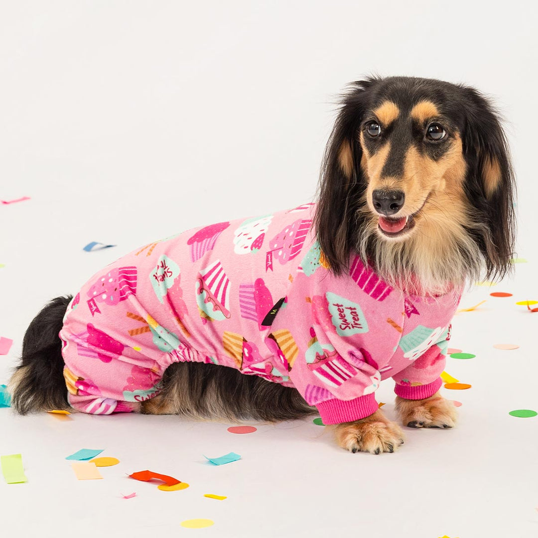 Cute dachshund modeling cozy dog jammies featuring cupcake and candy designs.