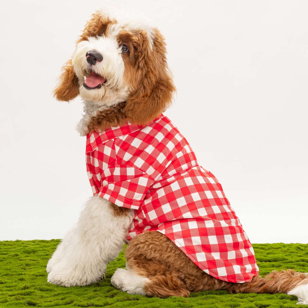 dog dress shirt Dog Shirt Sewing Pattern | Pdf Sewing Pattern | Dog Pattern | Dog Sewing Pattern | Pattern for Pet | Shirt Sewing Pattern