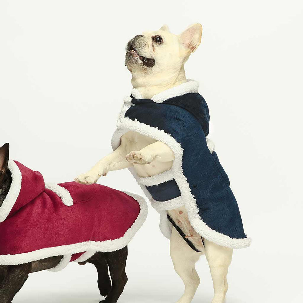 Dog Coat Dog Penguin Christmas Jumper Sotnos Penn Gee