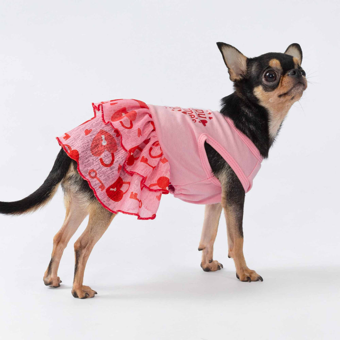 Chihuahua posing in a pink valentine dress for dogs with heart-patterned ruffles