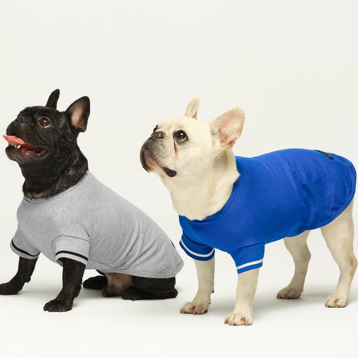 2 Pack Blank Polo pet clothing