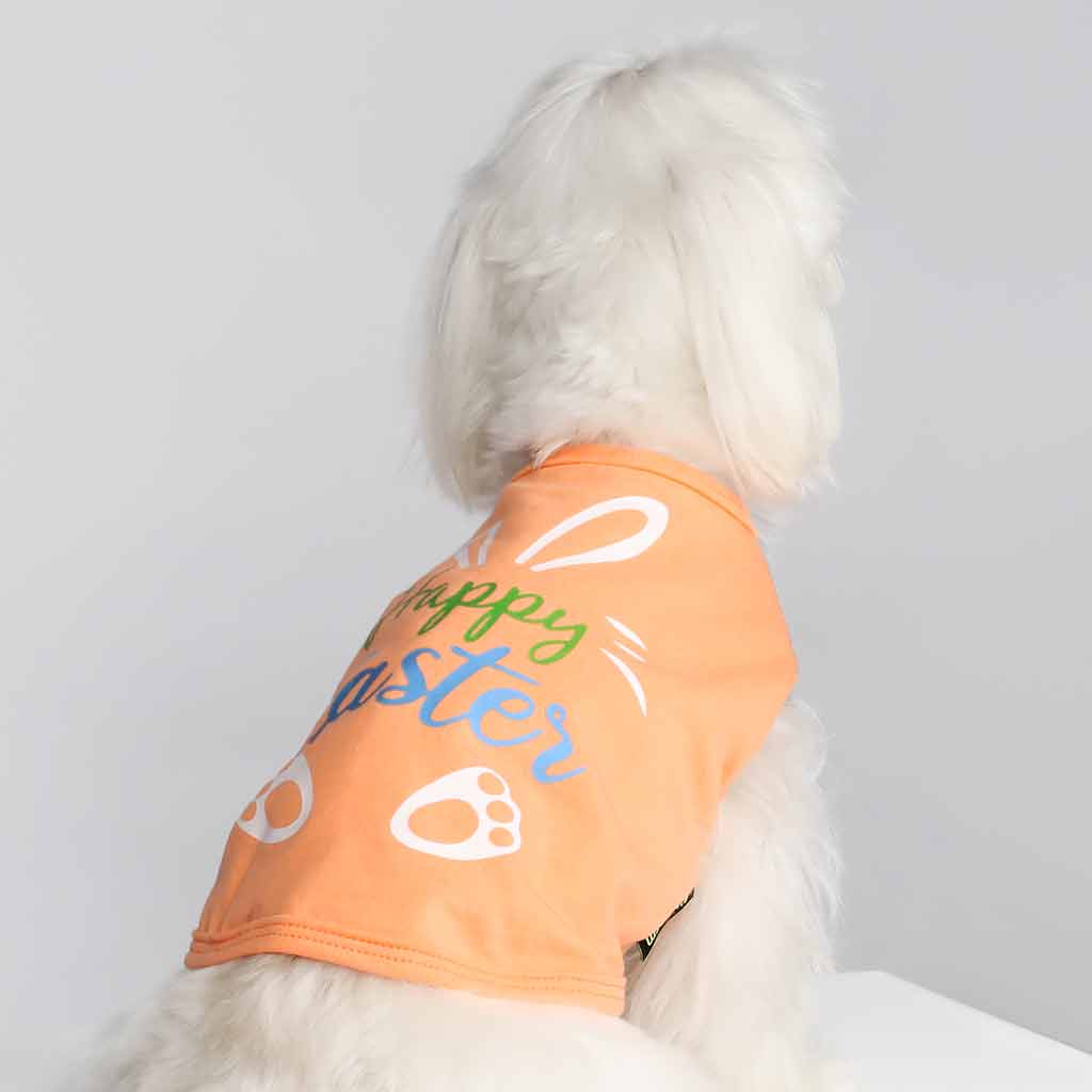 Maltese in an Orange Dog Shirt with 'Happy Easter' Lettering - Fitwarm Dog Clothes