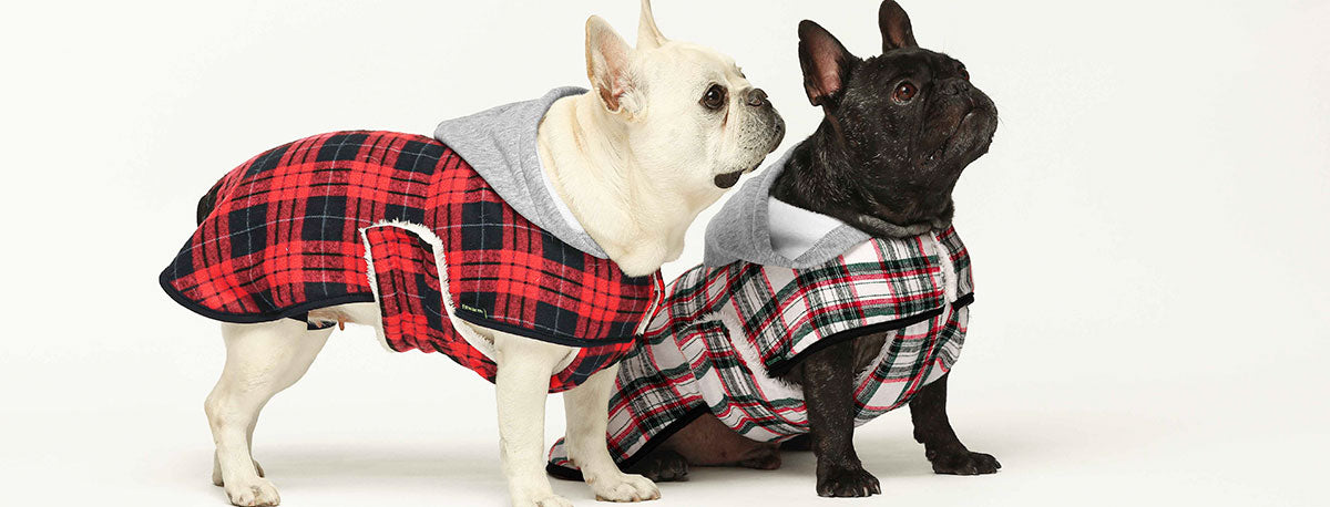 Dog Winter Clothes - Dog Sweaters & Dog Coats New In - Fitwarm