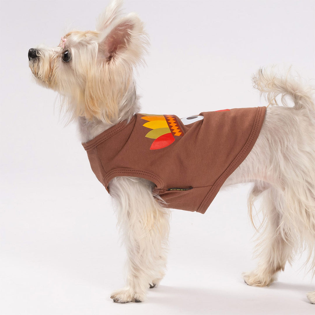 Cute pup wearing playful turkey Thanksgiving shirt for dog