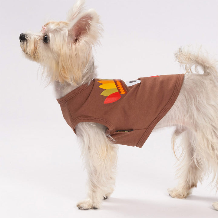 Cute pup wearing playful turkey Thanksgiving shirt for dog