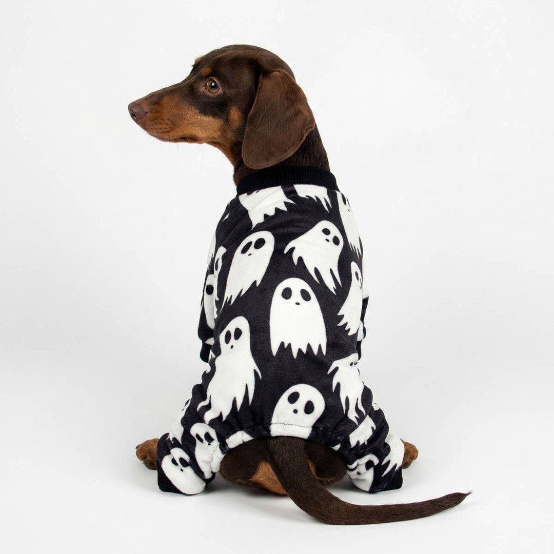 Dachshund in a spooky ghost prints dog pjs