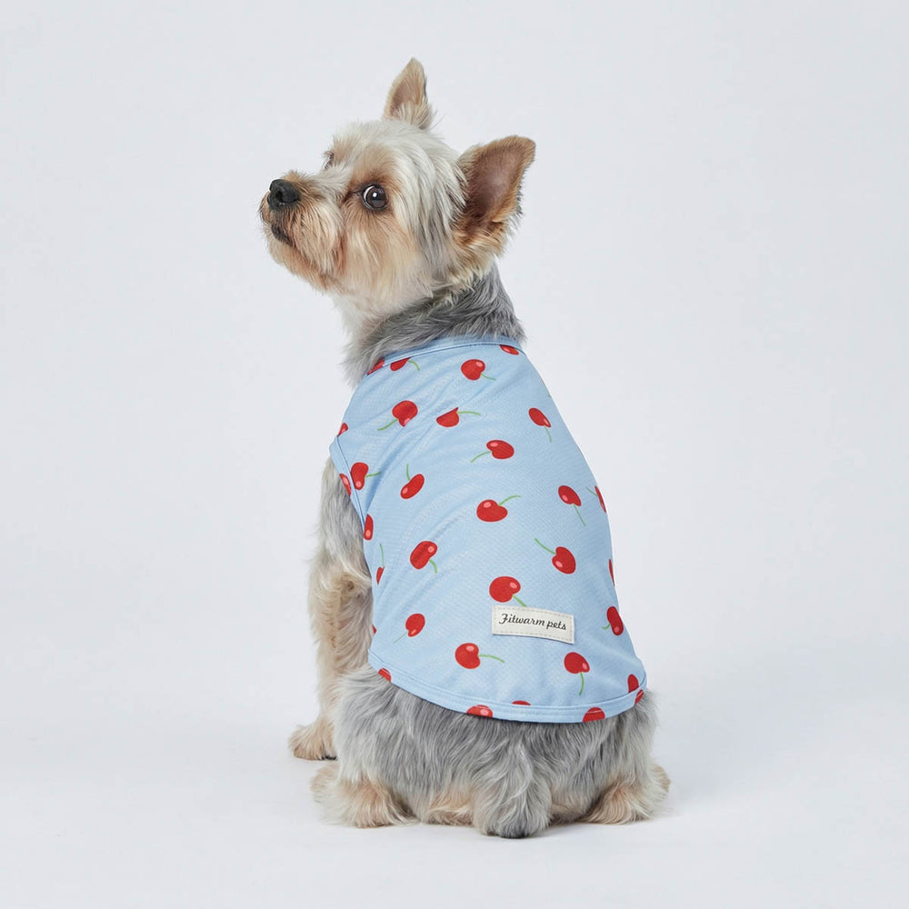 Dog dressed in a cherry print dog UV shirt designed for lightweight sun protection