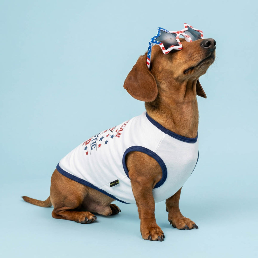 Dachshund wearing a white dog t shirt with blue trim and red, white, and blue sunglasses on a light blue background