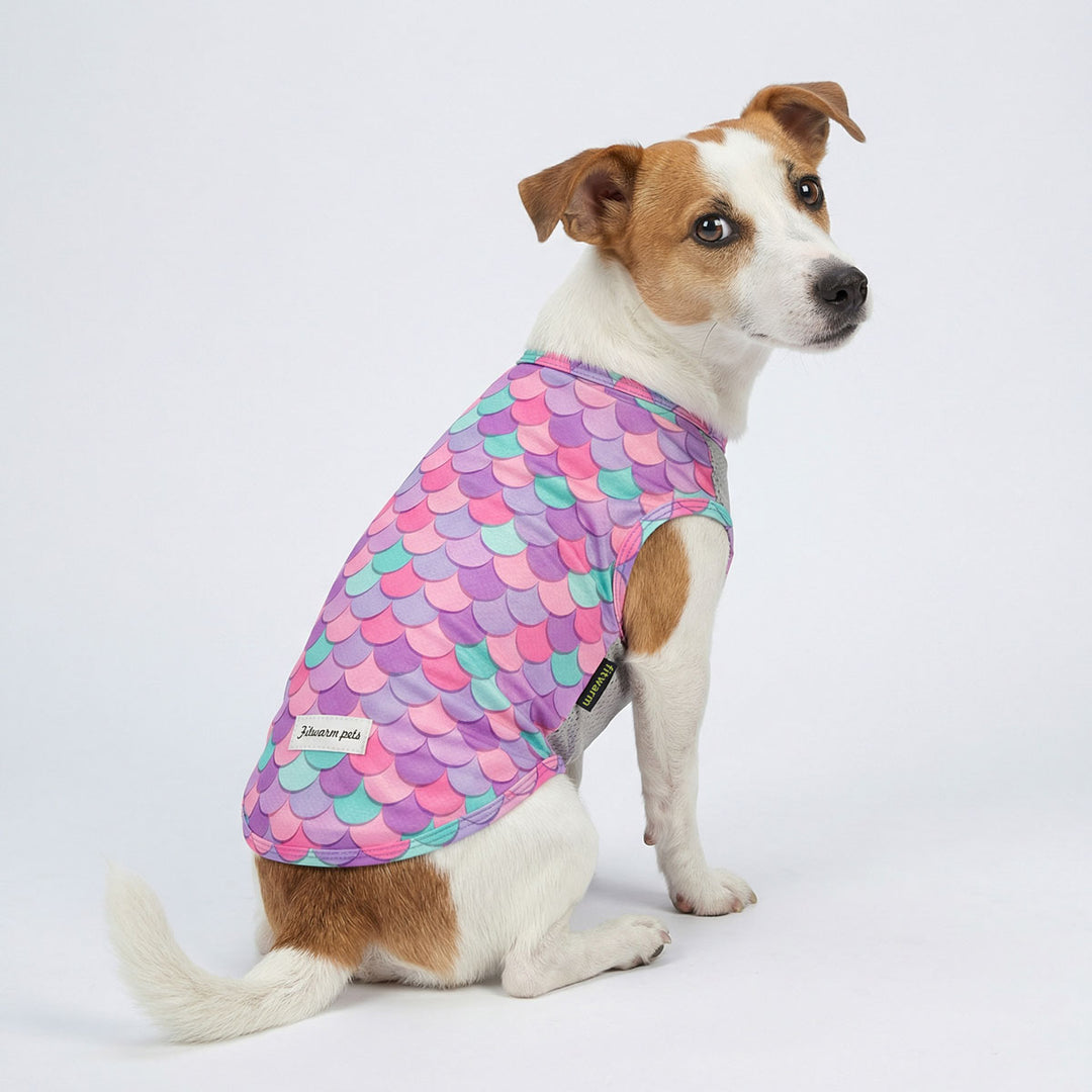 Dog wearing a breathable mermaid scale patterned dog uv shirt on a white background
