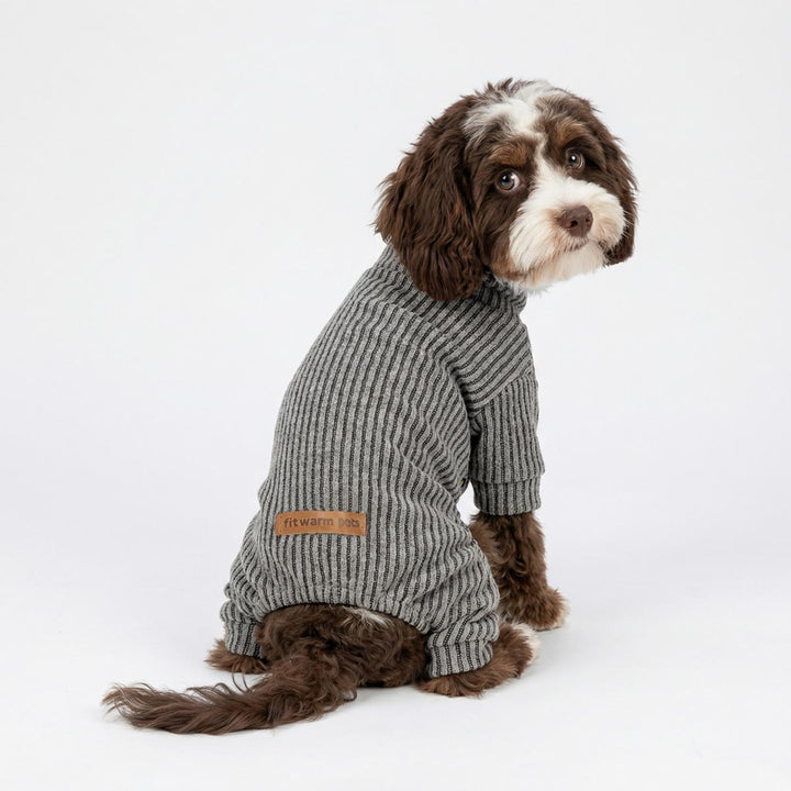 Curly haired dog modeling gray knitted pajamas for dogs indoors