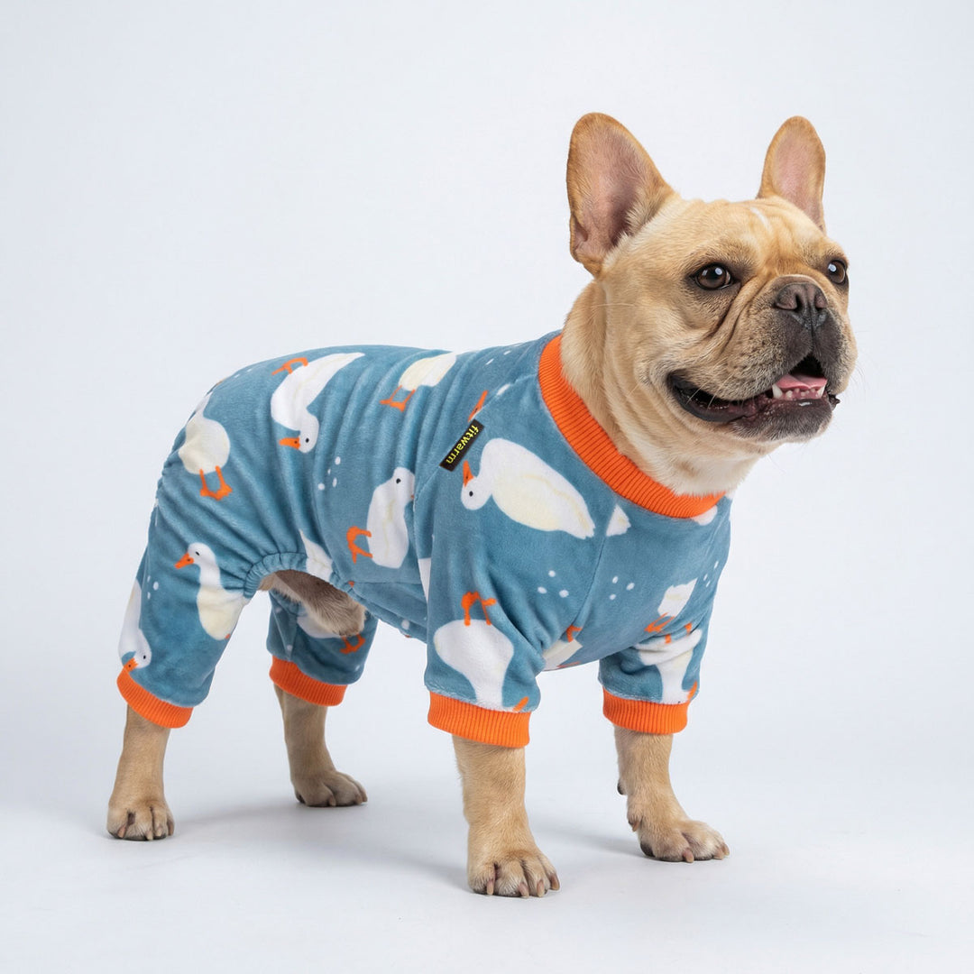 French Bulldog wearing comfortable dog pjs with cartoon duck design