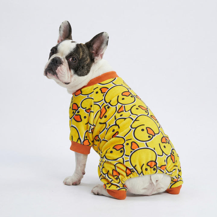 French Bulldog wearing dog pjs with bright yellow cartoon duck prints