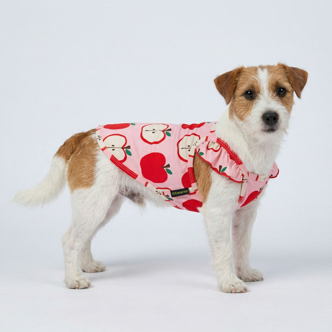 Dog wearing a pink dog tshirt with apple pattern on a white background