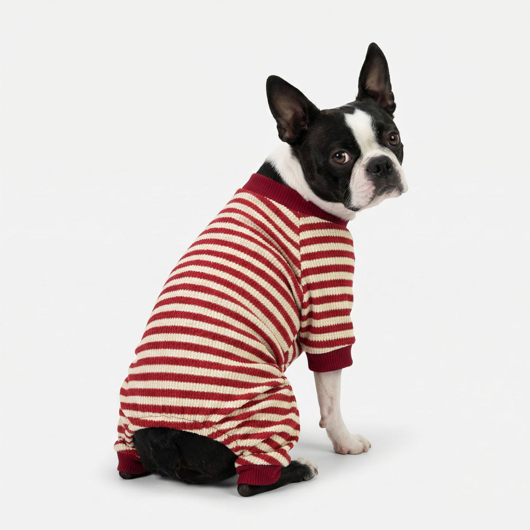 Boston terrier wearing waffle striped dog pajamas in red and white tones