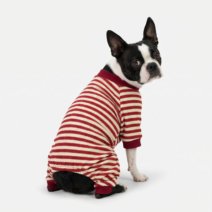 Boston terrier wearing waffle striped dog pajamas in red and white tones