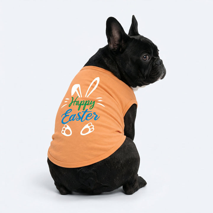 French Bulldog wearing a orange Easter dog shirt with 'Happy Easter' lettering and rabbit prints