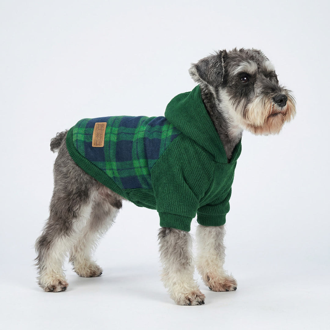 Schnauzer dress in a classic plaid hoodie for dogs