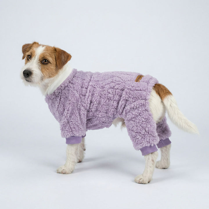 Dog wearing a purple fleece doh onesie on a white background