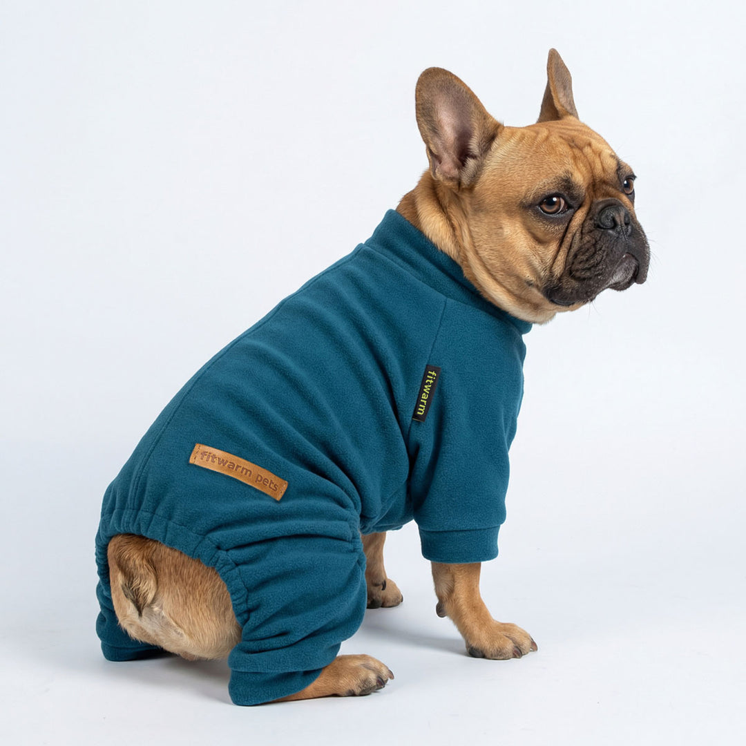 French Bulldog sitting with a lightweight velvet dog pajamas
