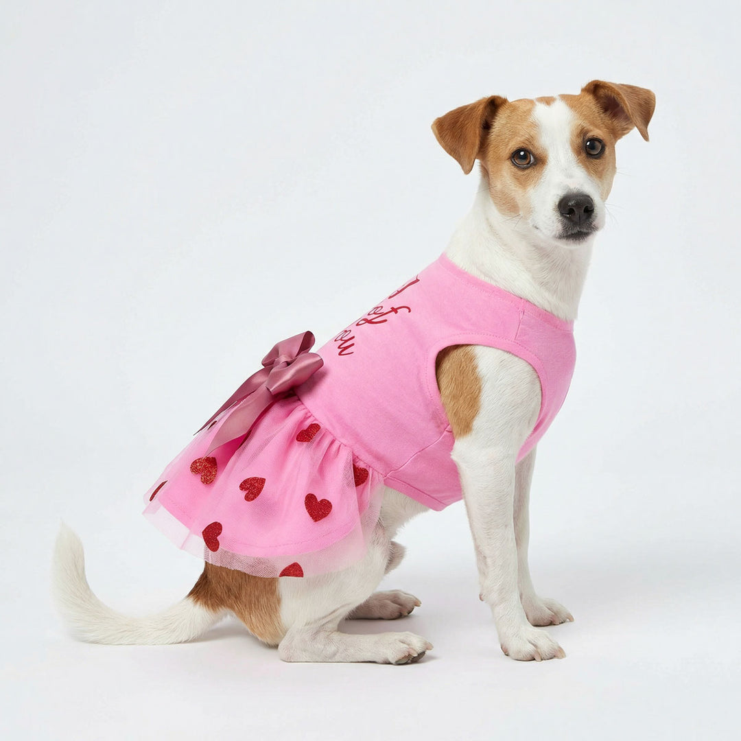 Dog Dresses - I Woof You Dress: Princess Style - Fitwarm Large Dog Dresses - I Woof You Dress: Princess Style - Fitwarm Large