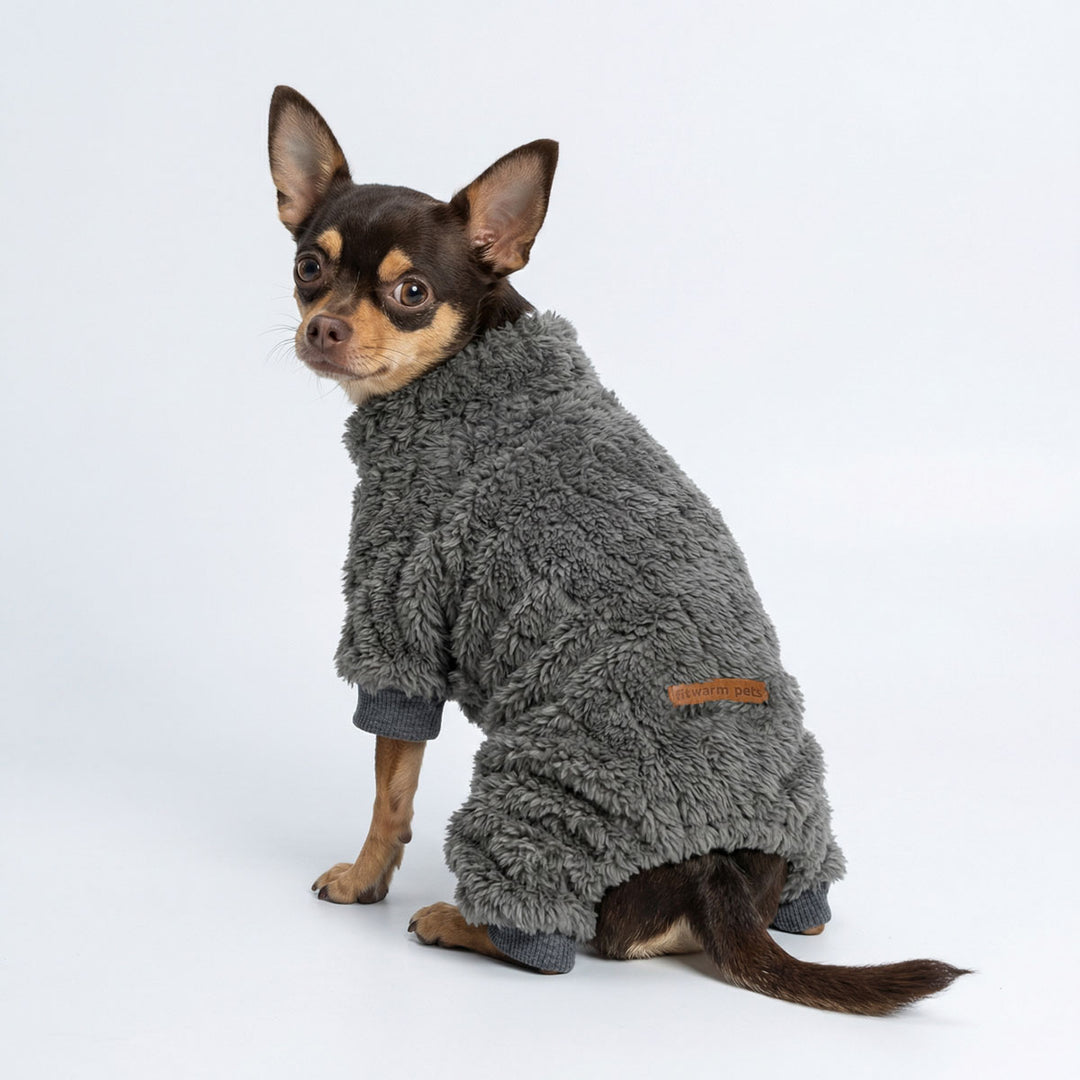 Chihuahua wearing a cozy collared neck pajamas for dogs