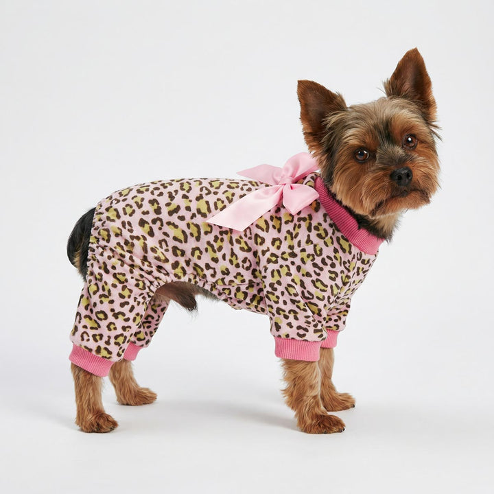 Yorkshire terrier standing in leopard dog onesie with pink trim and bow