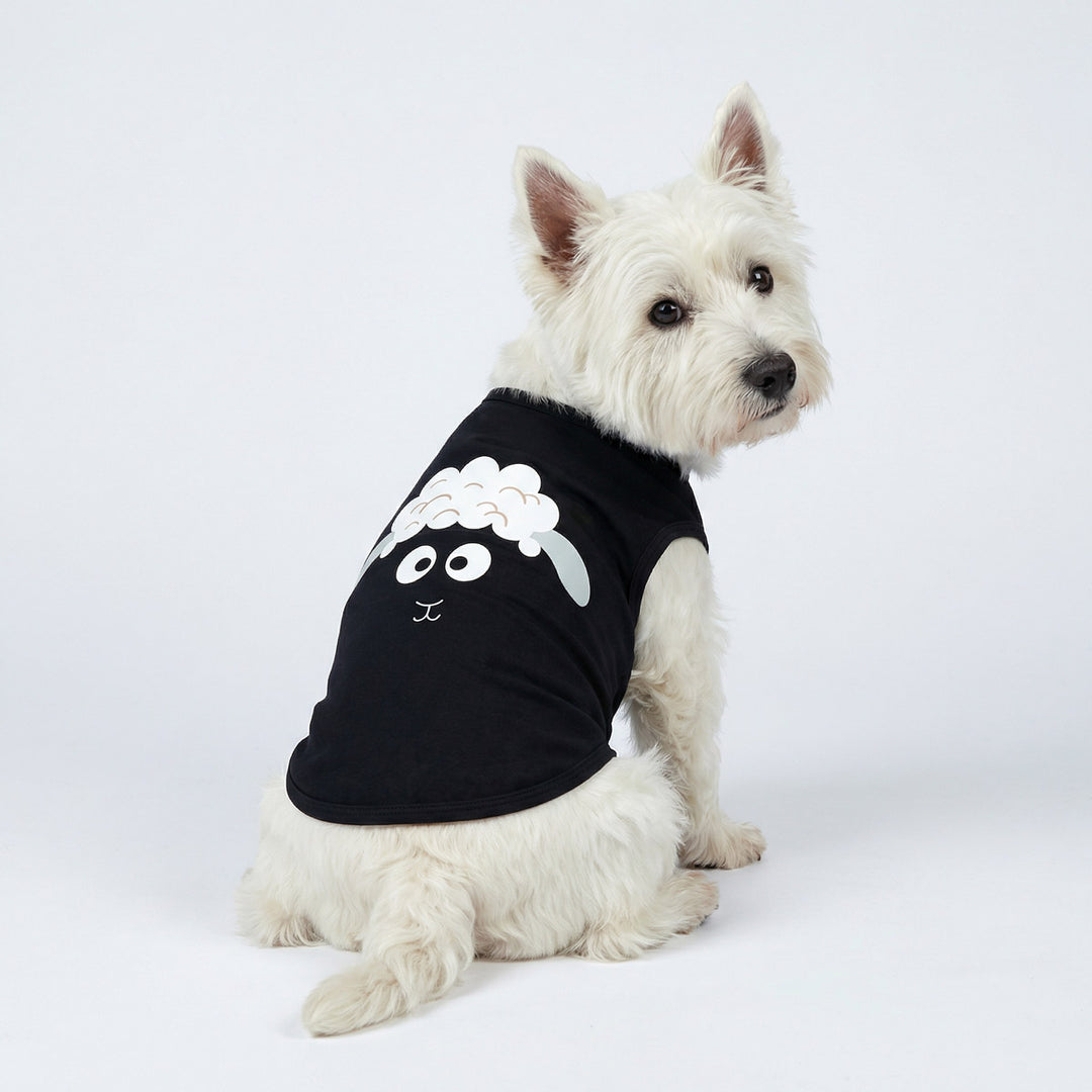 Back view of small Westie wearing black dog tshirt with sheep design
