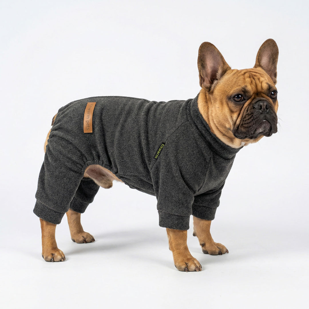 French Bulldog in a winter dog fleece pajamas
