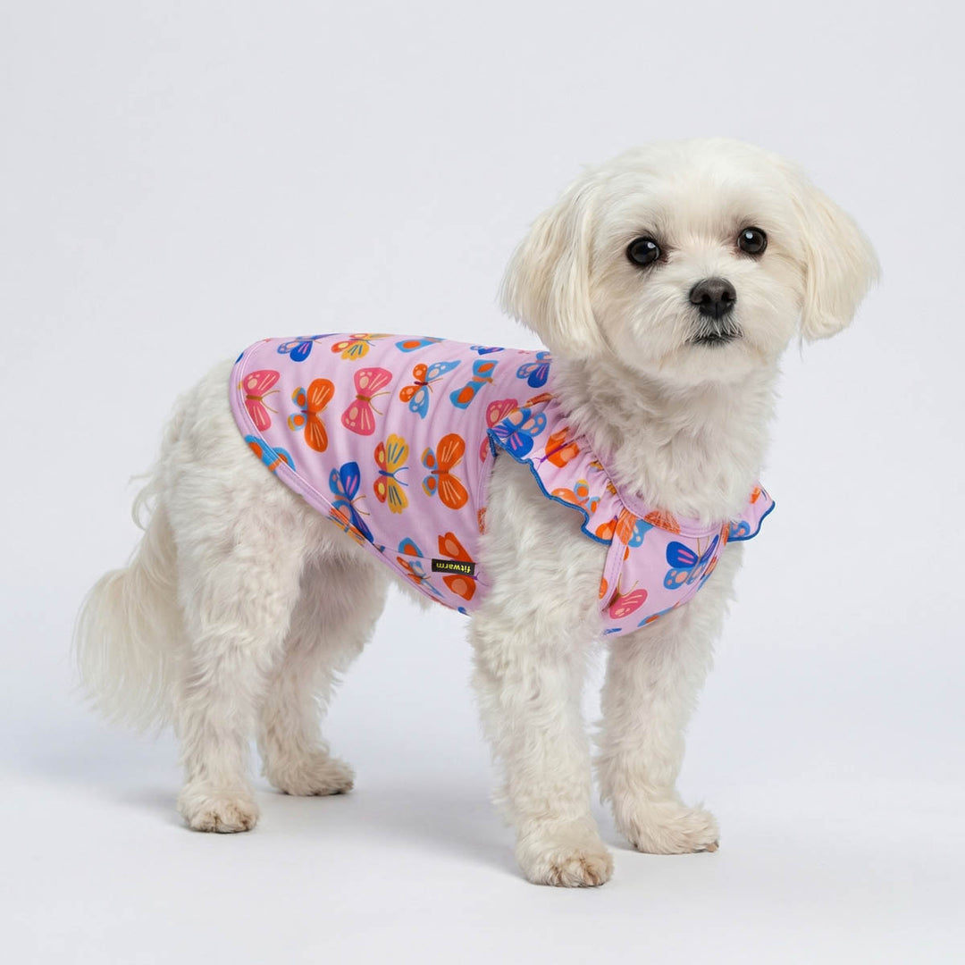 Small white dog wearing a purple butterfly dog tshirt on a light gray background