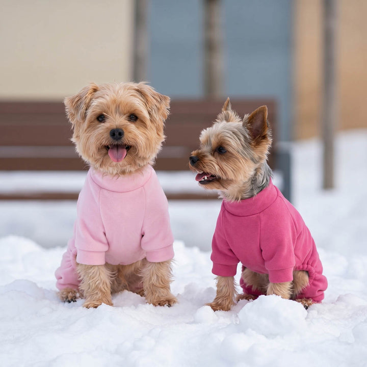 Two small dogs sitting in the snow wearing 2 pack pink dog pjs