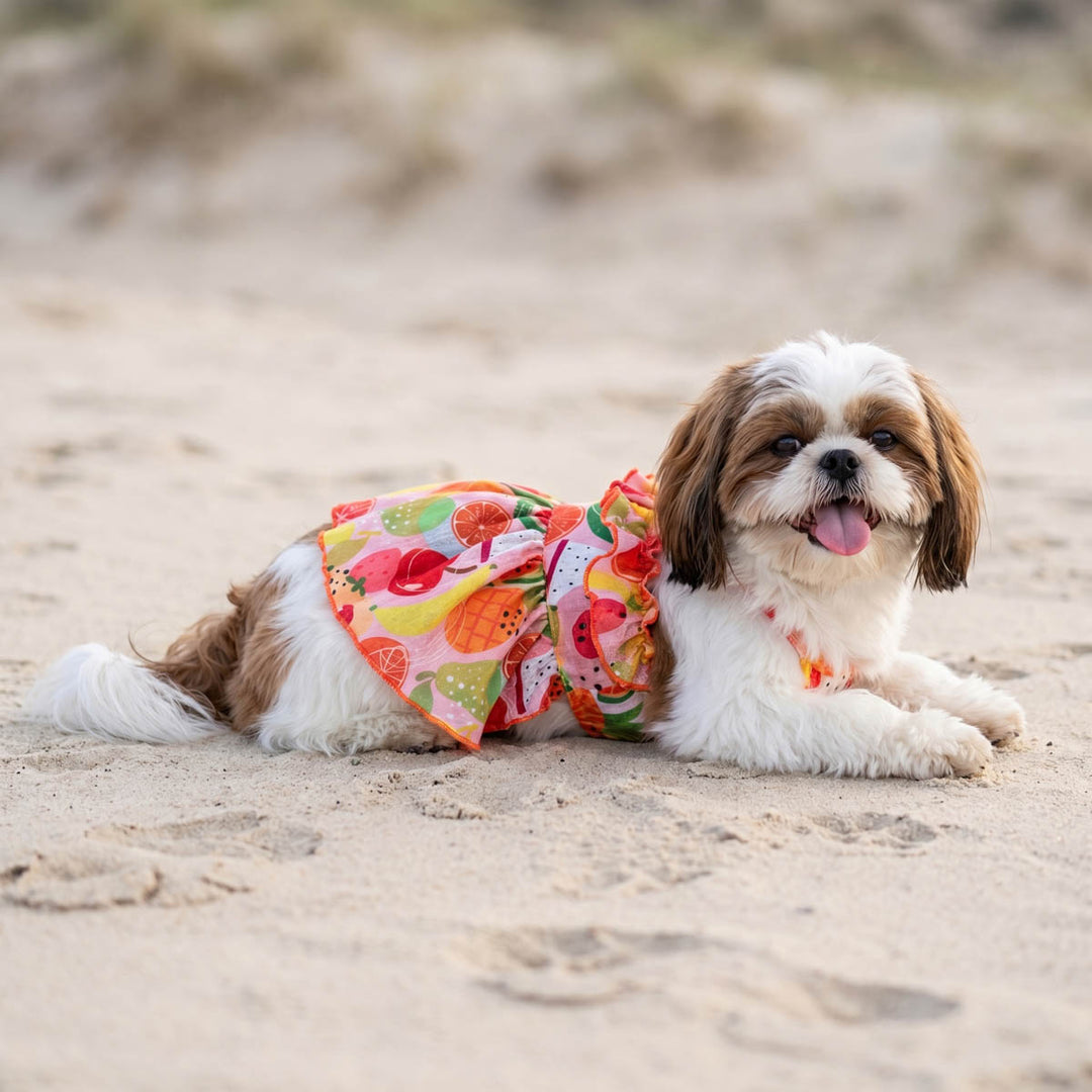 Colorful Tropical Fruit Dog Dress