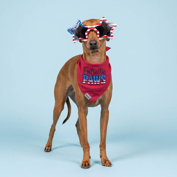 Dog wearing a big red, white, and blue dog glasses and patriotic dog bandana