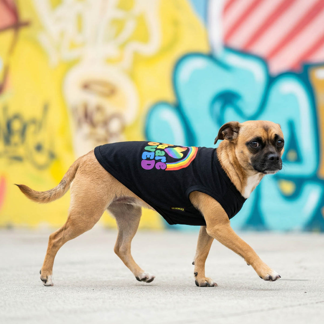 Black shirt for dogs with colorful lettering and prints on a walking dog