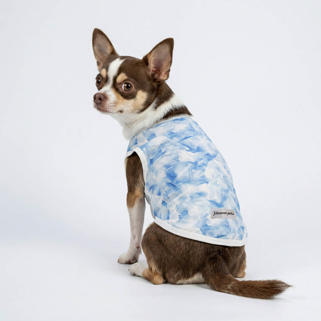 Chihuahua wearing a ice print dog UV shirt and looking back