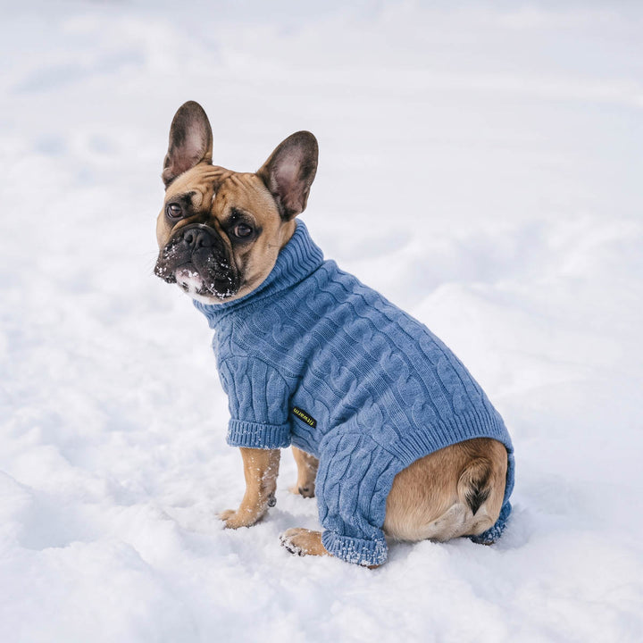 Small tan French Bulldog wearing a blue cable-knit pajamas for dogs, sitting in the snow