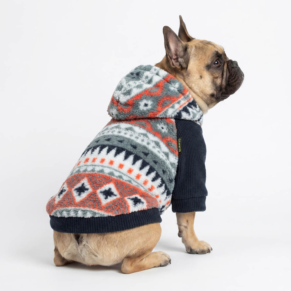 French Bulldog sitting in a white background with a cozy dog hoodie