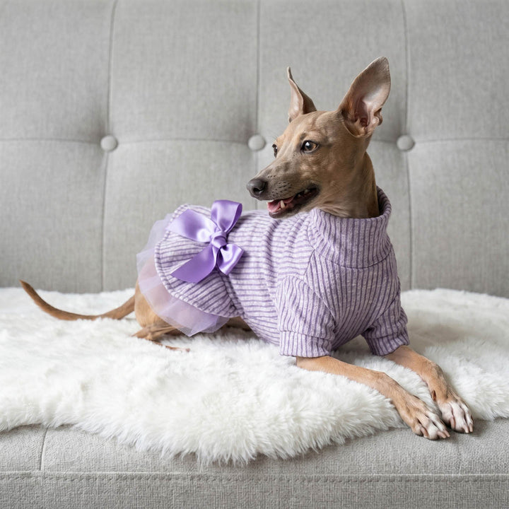 Small tan dog wearing a lavender knitted dog dress with a large purple bow, lying on a white faux-fur rug on a gray tufted sofa