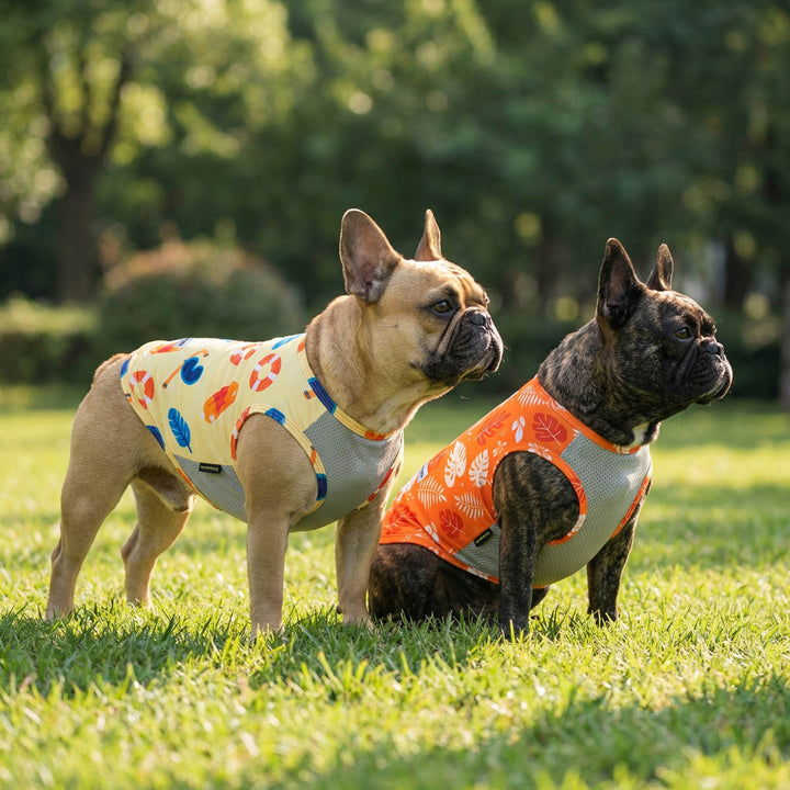 Two dogs wearing colorful sleeves dog shirts with mesh fabric standing on grass with trees in the background