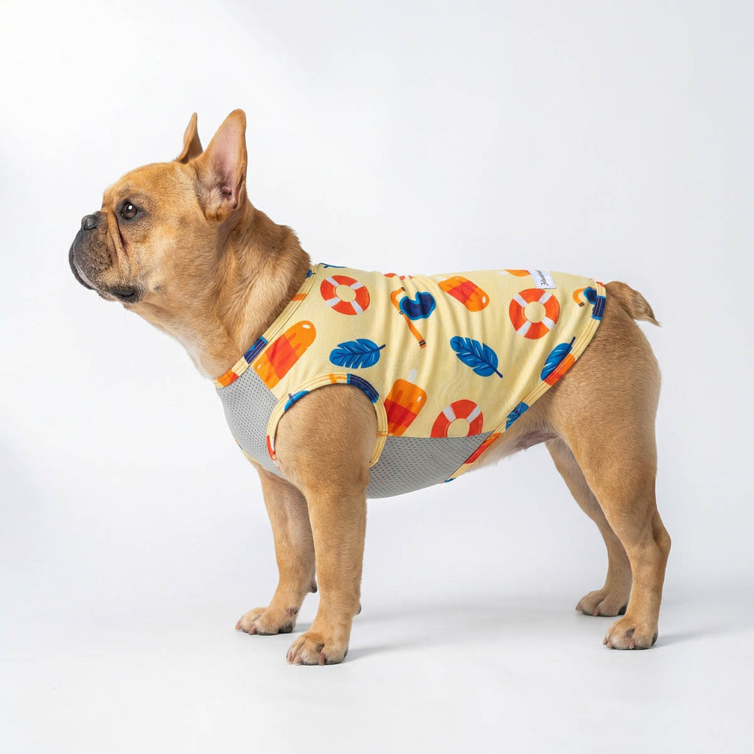 French Bulldog in a dog UV shirt with lightweight mesh fabric