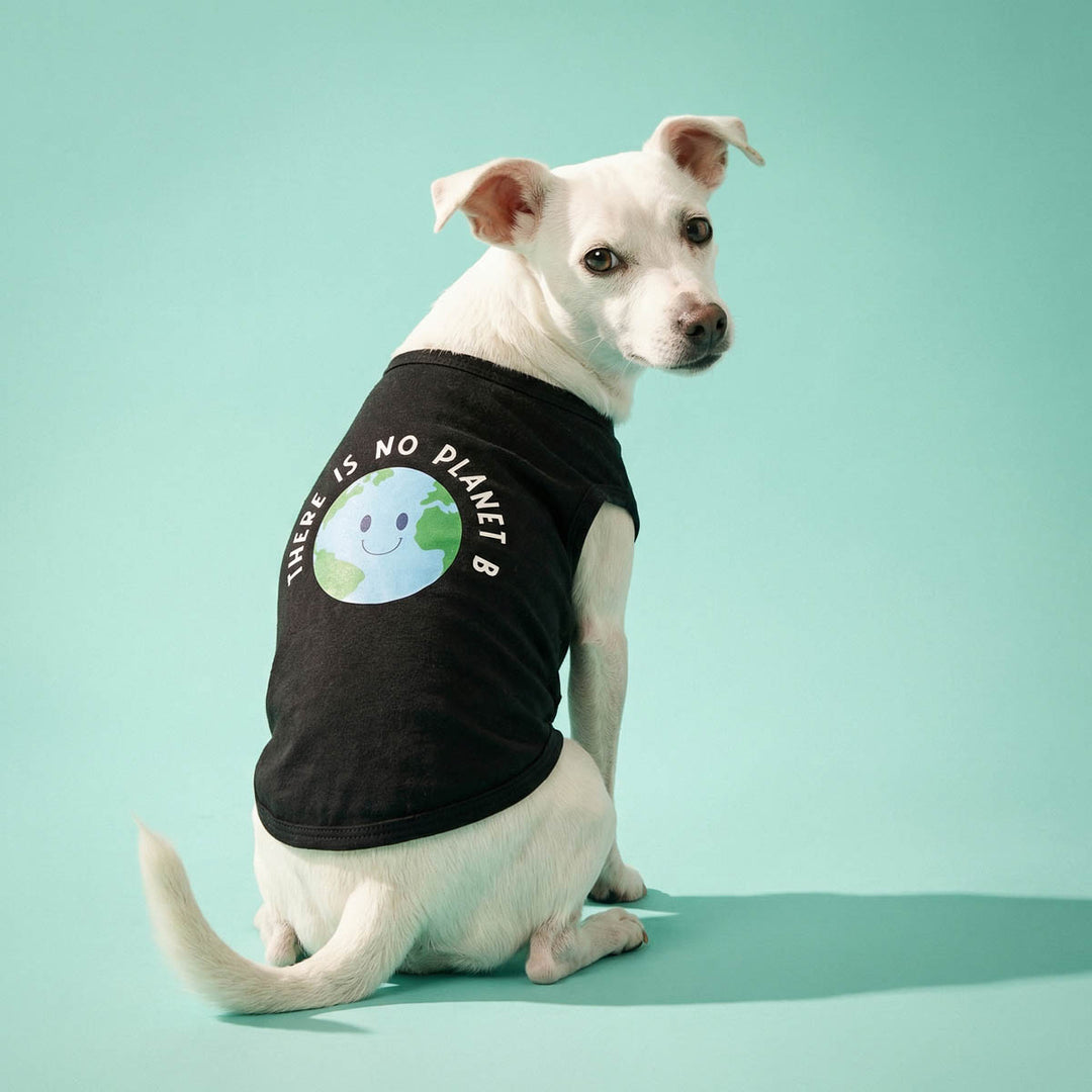 Dog wearing a black sleeveless shirt  for dogs with a Earth graphic and text on a light green background