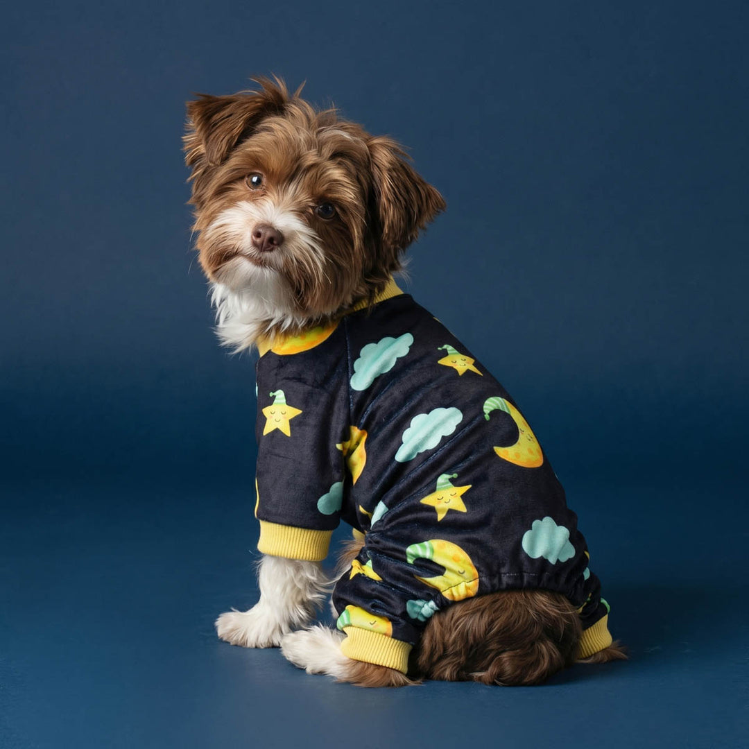 Small dog sitting on a blue background and wearing a cozy dog pajamas