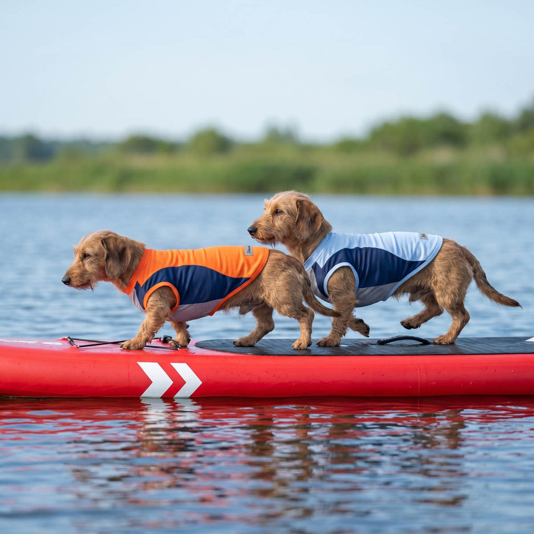 Two dogs dog UV sun protection shirts on a red paddleboard in water with greenery in the background