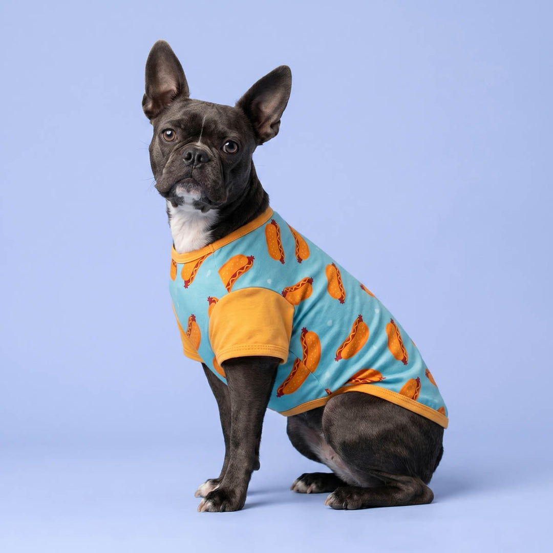 Dog wearing a hot dog patterned color block dog tshirt on a blue background