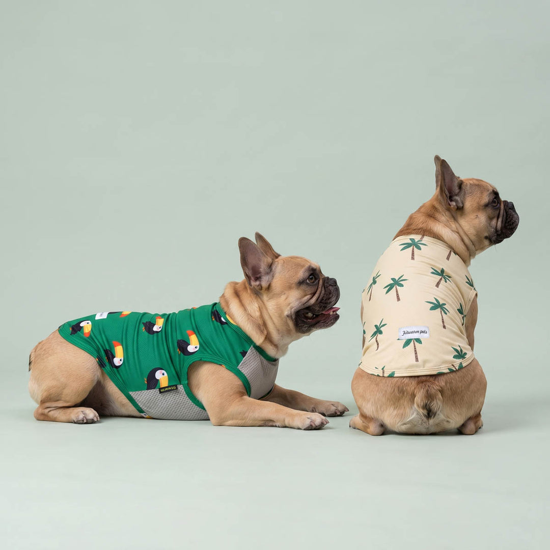 French Bulldog in a 2 pack summer dog shirts with breathable mesh fabric