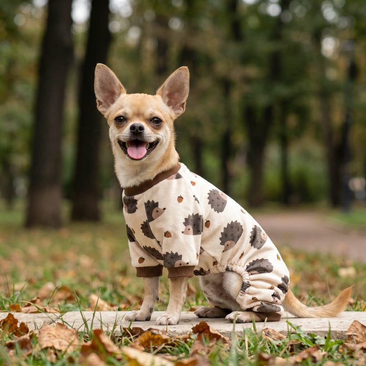 Small Chihuahua wearing a soft dog fleece pajamas and sitting outdoors