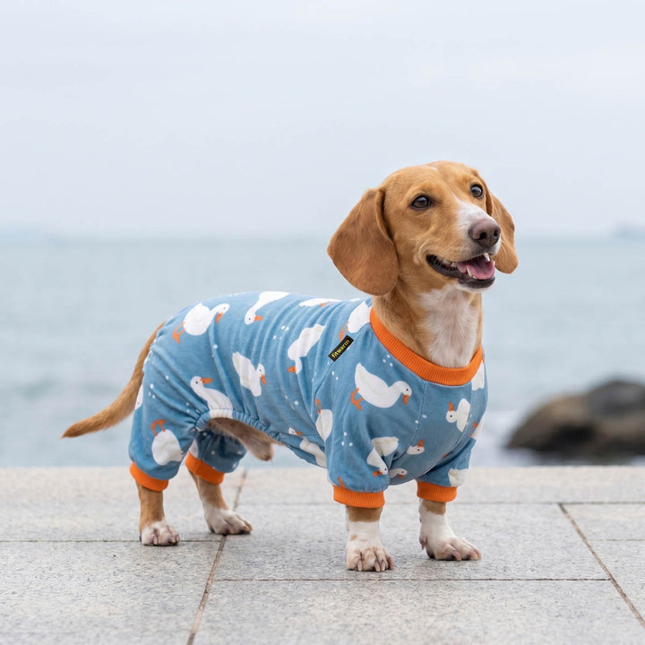 Dachshund standing in a seaside background with a funny duck prints pajamas for dogs