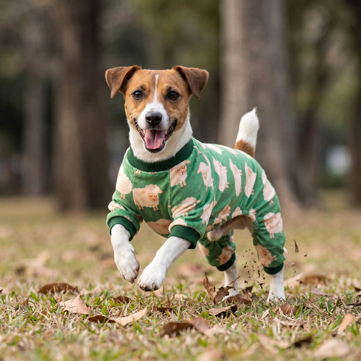 Dog wearing a green and pink patterned dog jammies running on grass with trees in the background