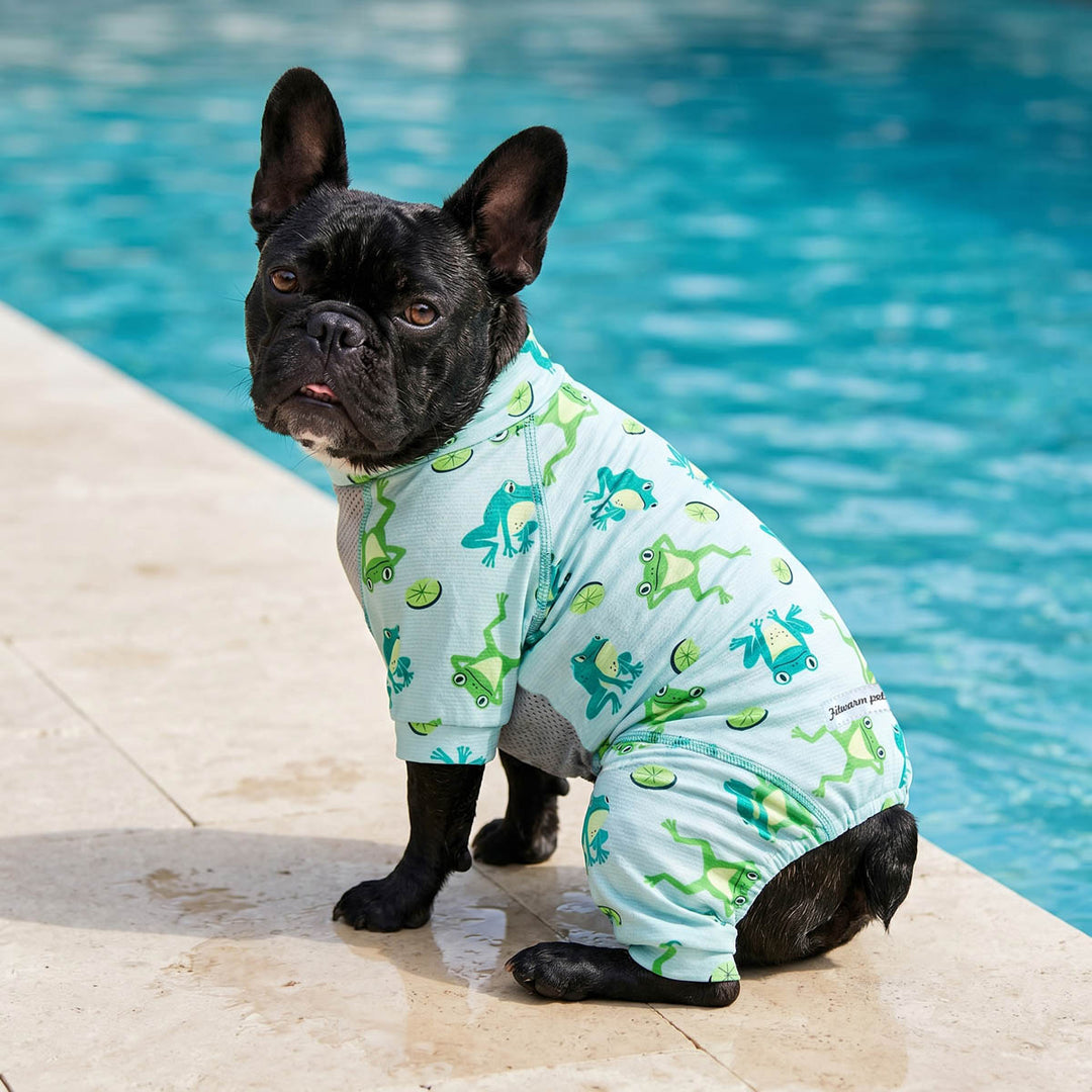 Dog wearing a light blue UPF 50 + dog jumpsuit with green frog pattern by a pool